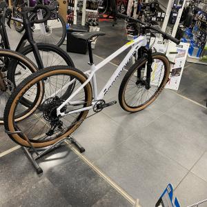 Mondraker Chrono T.M Blanc